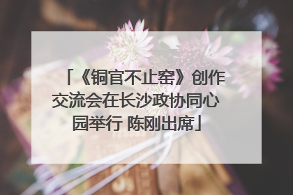 《铜官不止窑》创作交流会在长沙政协同心园举行 陈刚出席