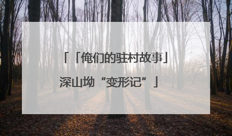 「俺们的驻村故事」深山坳“变形记”
