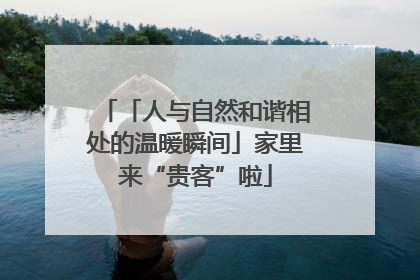 「人与自然和谐相处的温暖瞬间」家里来“贵客”啦