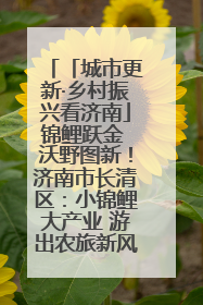「城市更新·乡村振兴看济南」锦鲤跃金 沃野图新！济南市长清区：小锦鲤大产业 游出农旅新风景