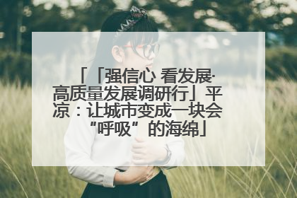 「强信心 看发展·高质量发展调研行」平凉：让城市变成一块会“呼吸”的海绵