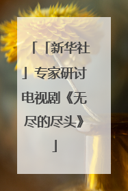 「新华社」专家研讨电视剧《无尽的尽头》