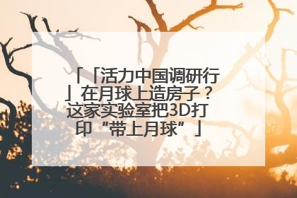 「活力中国调研行」在月球上造房子？这家实验室把3D打印“带上月球”