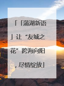 「蒲湖新语」让“友城之花”跨海向阳，尽情绽放