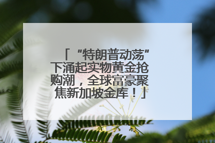 “特朗普动荡”下涌起实物黄金抢购潮，全球富豪聚焦新加坡金库！
