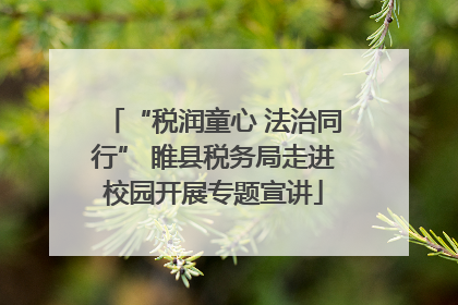 “税润童心 法治同行” 睢县税务局走进校园开展专题宣讲