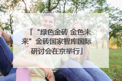 “绿色金砖 金色未来”金砖国家智库国际研讨会在京举行