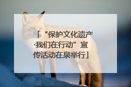 “保护文化遗产·我们在行动”宣传活动在泉举行