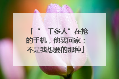 “一千多人”在抢的手机，他买回家：不是我想要的那种