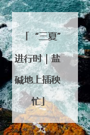 “三夏”进行时｜盐碱地上插秧忙