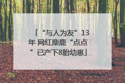 “与人为友”13年 网红麋鹿“点点”已产下8胎幼崽