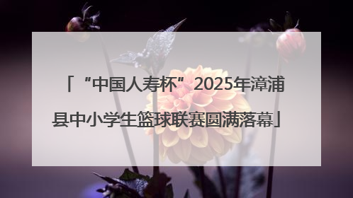 “中国人寿杯”2025年漳浦县中小学生篮球联赛圆满落幕