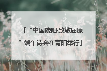 “中国陵阳·致敬屈原”端午诗会在青阳举行