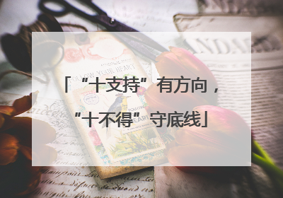 “十支持”有方向，“十不得”守底线