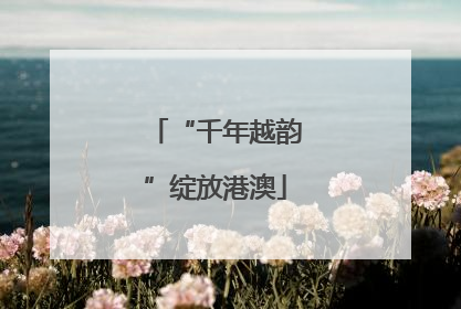 “千年越韵”绽放港澳