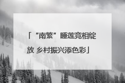 “南繁”睡莲竞相绽放 乡村振兴添色彩