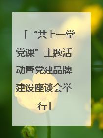 “共上一堂党课”主题活动暨党建品牌建设座谈会举行