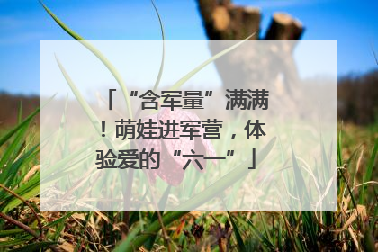 “含军量”满满！萌娃进军营，体验爱的“六一”