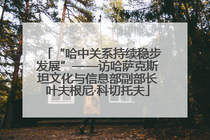 “哈中关系持续稳步发展”——访哈萨克斯坦文化与信息部副部长叶夫根尼·科切托夫