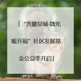 “善耀星城·微光暖开福”社区发展基金公益季开启