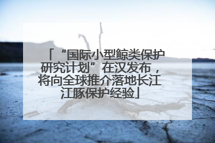 “国际小型鲸类保护研究计划”在汉发布，将向全球推介落地长江江豚保护经验