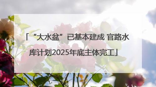 “大水盆”已基本建成 官路水库计划2025年底主体完工