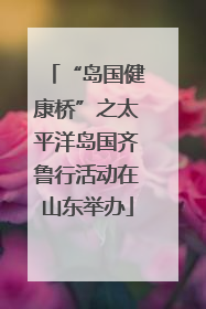 “岛国健康桥”之太平洋岛国齐鲁行活动在山东举办