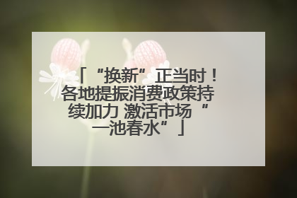 “换新”正当时！各地提振消费政策持续加力 激活市场“一池春水”