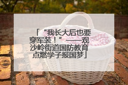 “我长大后也要穿军装！”——观沙岭街道国防教育点燃学子报国梦