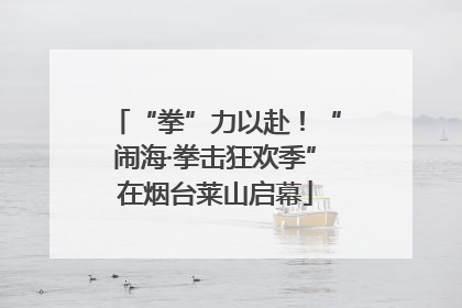 “拳”力以赴！“闹海·拳击狂欢季”在烟台莱山启幕