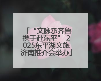 “文脉承齐鲁 携手赴东平” 2025东平湖文旅济南推介会举办