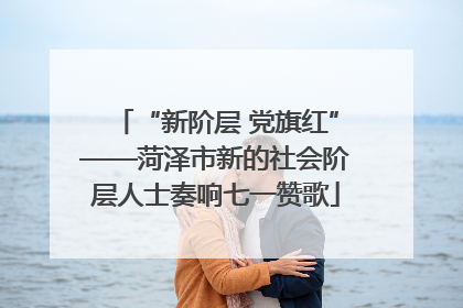 “新阶层 党旗红”——菏泽市新的社会阶层人士奏响七一赞歌