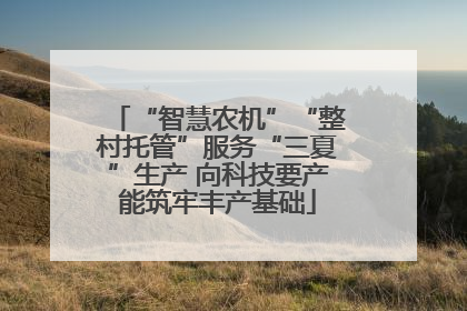 “智慧农机”“整村托管”服务“三夏”生产 向科技要产能筑牢丰产基础