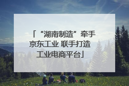 “湖南制造”牵手京东工业 联手打造工业电商平台