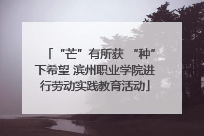 “芒”有所获 “种”下希望 滨州职业学院进行劳动实践教育活动