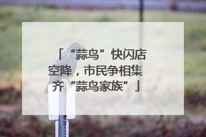 “蒜鸟”快闪店空降，市民争相集齐“蒜鸟家族”