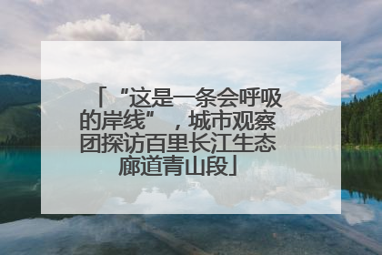“这是一条会呼吸的岸线”，城市观察团探访百里长江生态廊道青山段