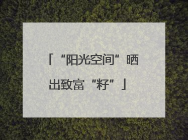 “阳光空间”晒出致富“籽”