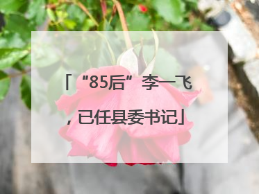 “85后”李一飞，已任县委书记