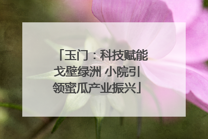 玉门：科技赋能戈壁绿洲 小院引领蜜瓜产业振兴