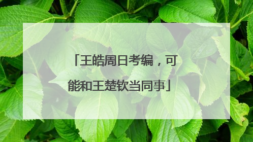 王皓周日考编，可能和王楚钦当同事