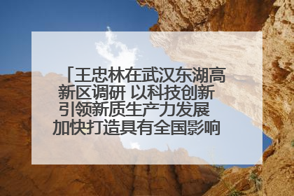 王忠林在武汉东湖高新区调研 以科技创新引领新质生产力发展 加快打造具有全国影响力的科技创新高地