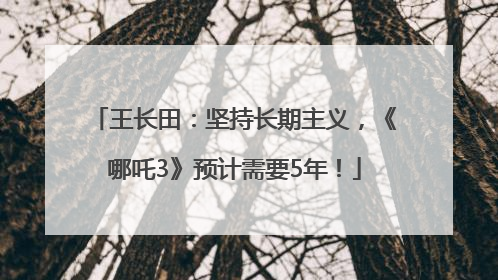 王长田：坚持长期主义，《哪吒3》预计需要5年！