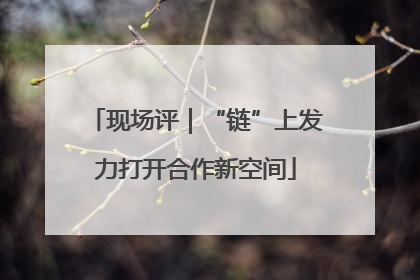 现场评｜“链”上发力打开合作新空间