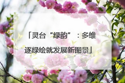 灵台“绿韵”：多维逐绿绘就发展新图景