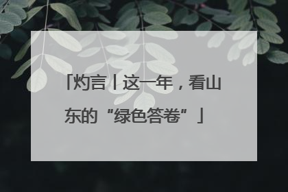 灼言丨这一年，看山东的“绿色答卷”