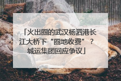 火出圈的武汉杨泗港长江大桥下“圈地收费”？城运集团回应争议