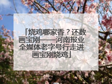 烧鸡哪家香？还数画宝刚——河南报业全媒体老字号行走进画宝刚烧鸡