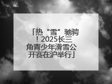 热“雪”驰骋！2025长三角青少年滑雪公开赛在沪举行
