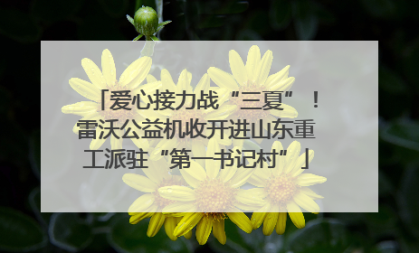 爱心接力战“三夏”！雷沃公益机收开进山东重工派驻“第一书记村”